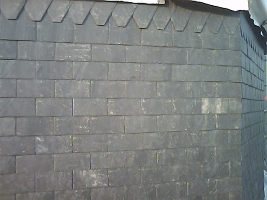 Renovatie dak met natuurleien