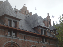 Renovatie dak met natuurleien