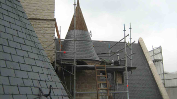 Renovatie dak met natuurleien