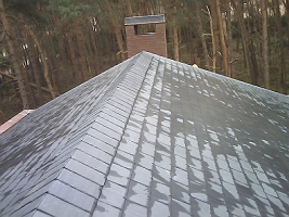 Renovatie dak met natuurleien