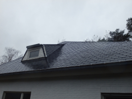 natuurleien Diest