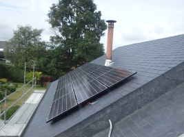 Natuurleien dak met zonnepanelen te Leefdaal