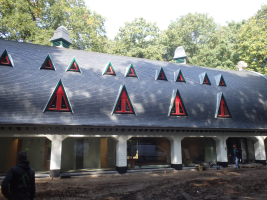 Renovatie dak met natuurleien